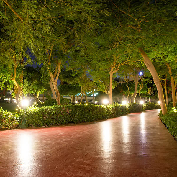 How LED Bollards Are Doing More than Lighting the Path