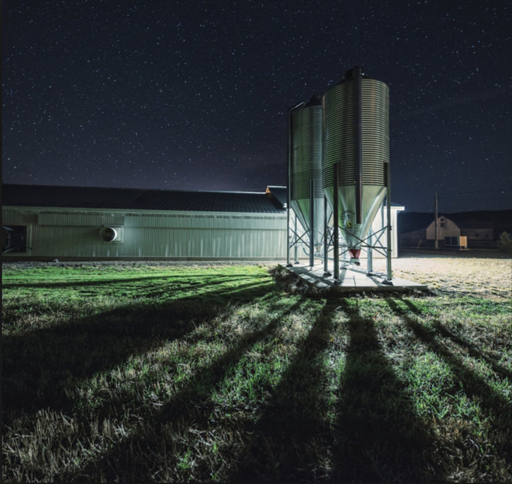 The Emerging Trend of LED Lighting in the Farming Industry